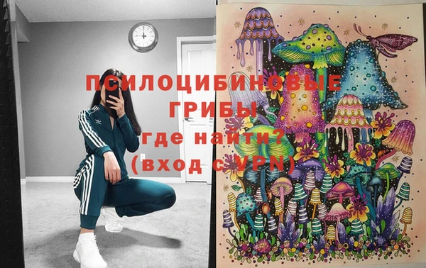 мескалин Бородино