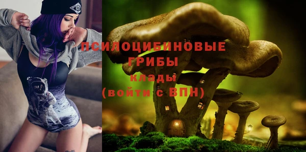мет Богородицк