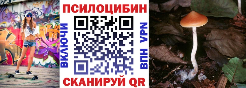 где можно купить Минеральные Воды blacksprut Псилоцибиновые грибы Magic Shrooms