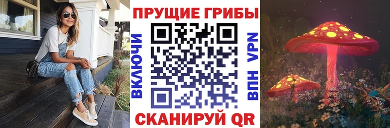 Галлюциногенные грибы GOLDEN TEACHER Минеральные Воды
