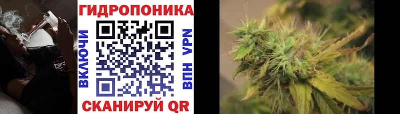 МЕГА ссылка  дарнет шоп  Минеральные Воды  Каннабис THC 21% 
